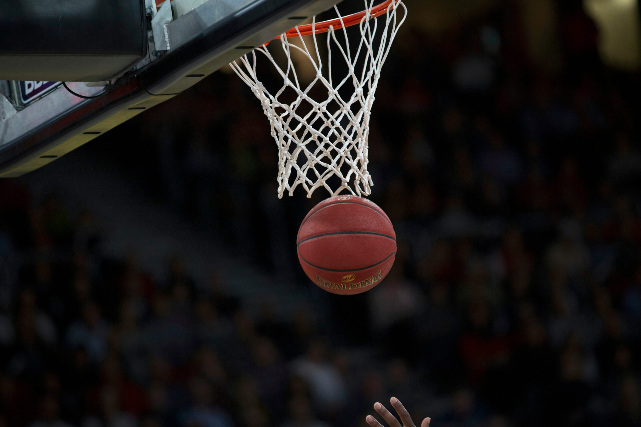 Unser Basketballteam